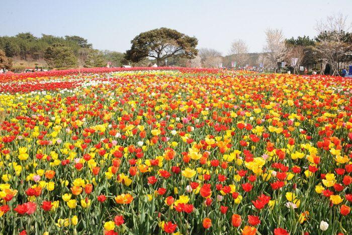 Summary of South Korea April Celebrations